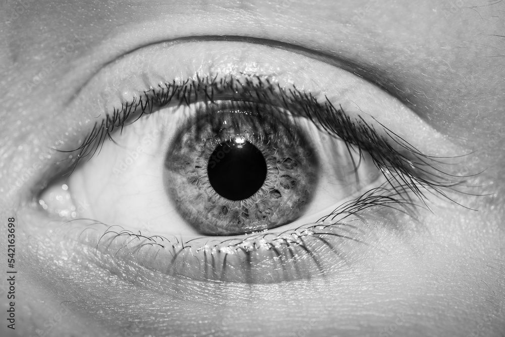 Fototapeta premium detalle de ojo humano