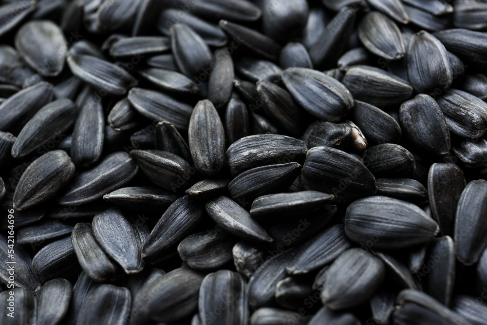 Pile of sunflower seeds as background, closeup Pile of sunflower seeds as background, closeup