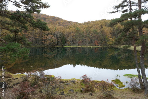 山奥の池