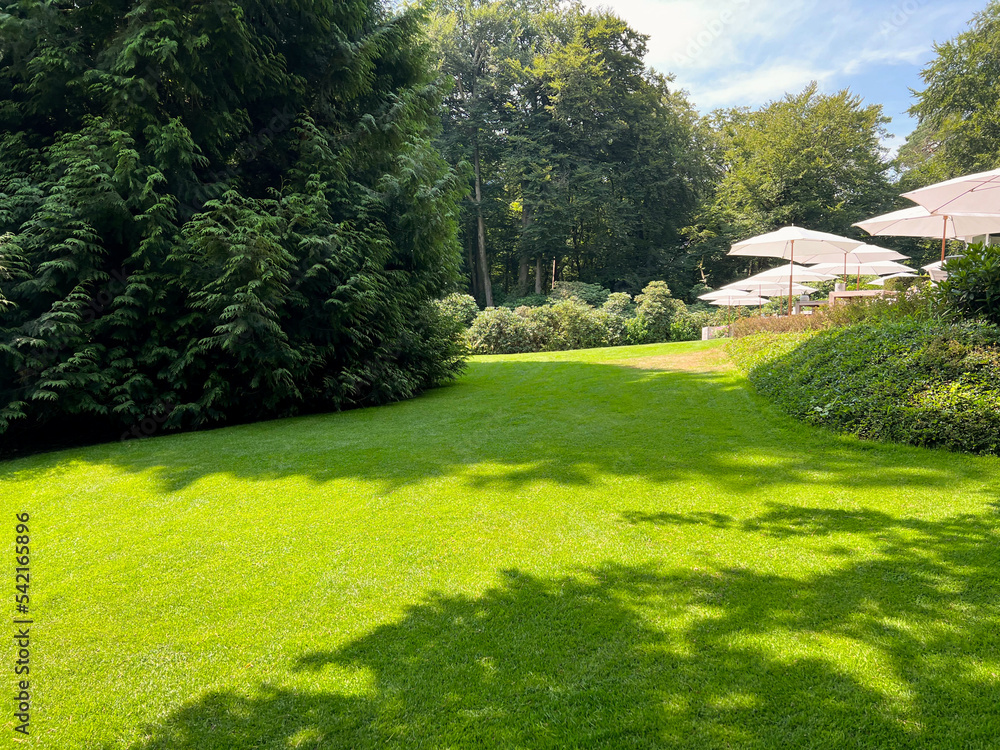 Naklejka premium Beautiful lawn with green grass on sunny day