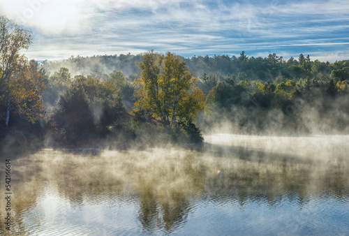 Foggy morning