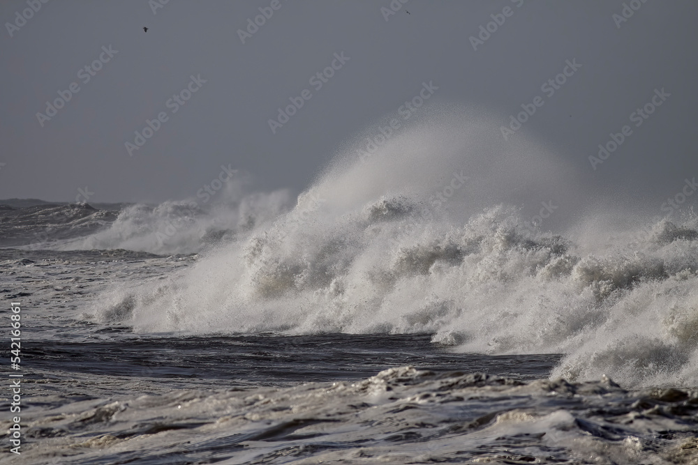 Detailed stormy breaking wave