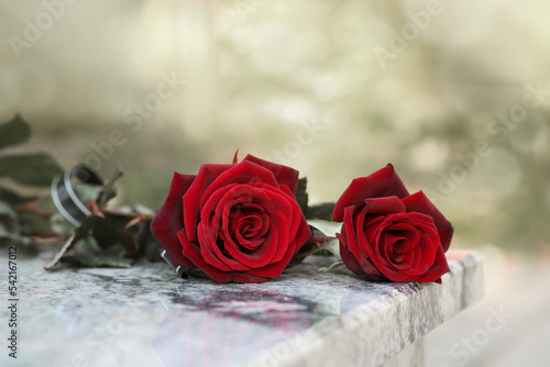 Red roses on granite tombstone outdoors. Funeral ceremony