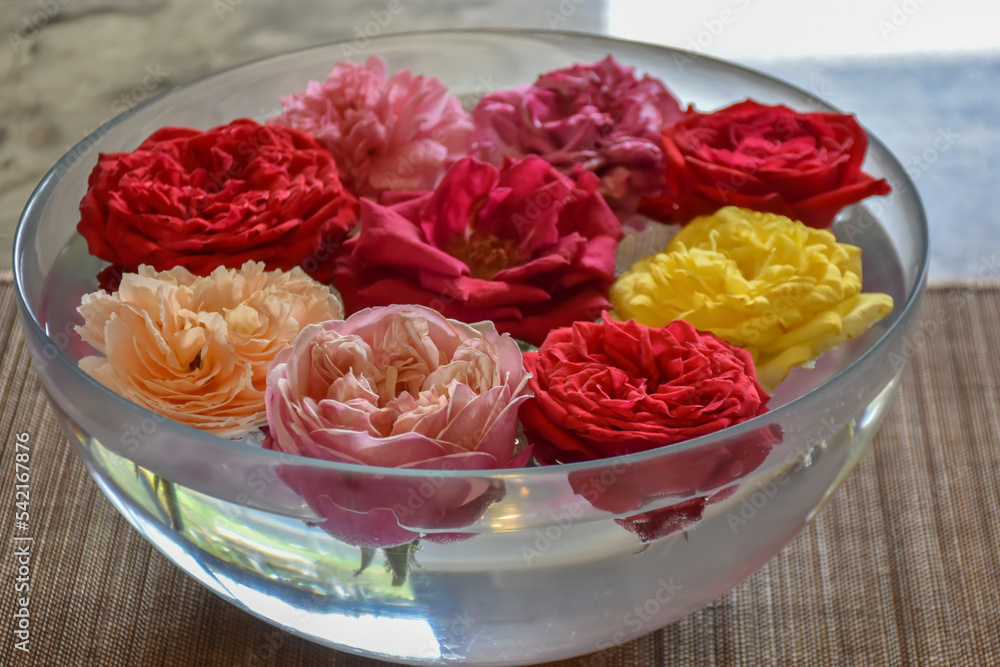 selected roses Pick up a handful of rose petals on a sunny day. Flowers in blur, there are many flowers and many colors such as orange, red, pink. selected roses Pick up a handful of rose petals on a sunny day. Flowers in blur, there are many flowers and many colors such as orange, red, pink.