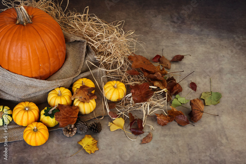 秋の背景 感謝祭やハロウィンの背景 オレンジや黄色のカボチャと落ち葉や松ぼっくりの飾り付け