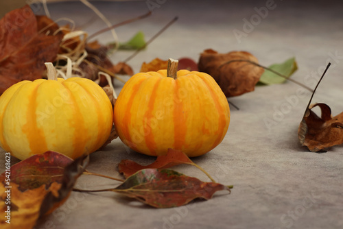 秋の背景　感謝祭やハロウィンの背景　オレンジや黄色のカボチャと落ち葉や松ぼっくりの飾り付け