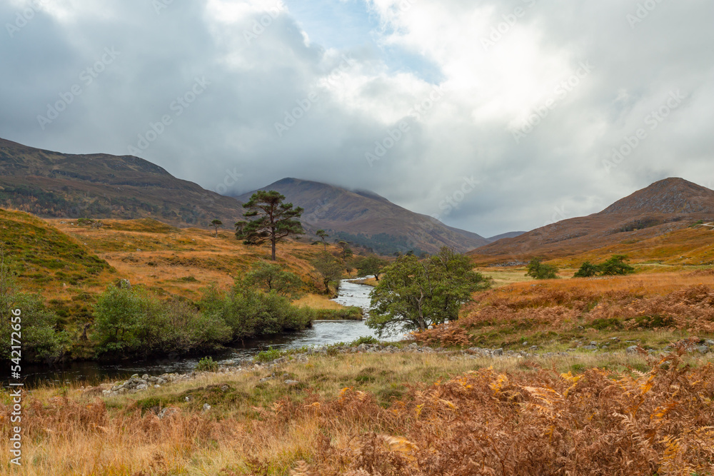 Glen Strathfarrar in the Scottish Highlands. Autumnal scene with golden bracken and grasses, low misty clouds, high mountains, Scots Pines bordering the River. Landscape, horizontal, Space for copy. Glen Strathfarrar in the Scottish Highlands. Autumnal scene with golden bracken and grasses, low misty clouds, high mountains, Scots Pines bordering the River. Landscape, horizontal, Space for copy.