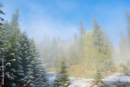 Wonderful foggy autumn forest with melting snow, sunrays a coming through the morning fog
