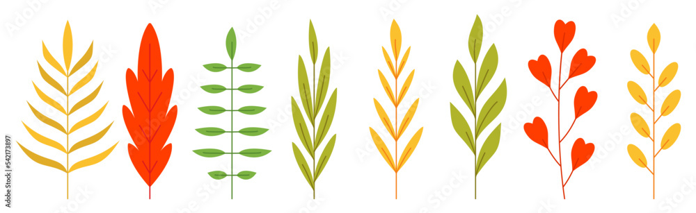 Autumn branch leaf icon set. Forest plant fall foliage herbal deciduous tree. Abstract floral yellow red sprout. Flat eco nature organic leaves of tropical palm, rowan, eucalyptus isolated on white