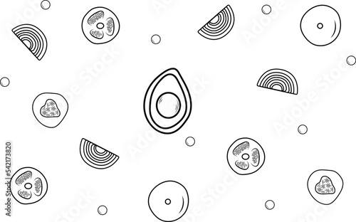 Vector illustration of marmalades