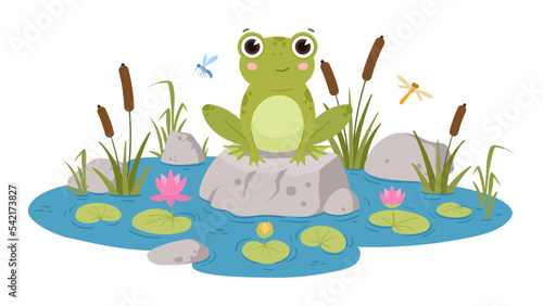 Cartoon frog sitting in pond, cute amphibia. Green toad in natural habitat, froggy water animal in pond with water lilies and reeds flat vector illustrations. Green frog character
