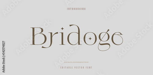 Bridge text luxury wedding alphabet letters font template. Typography elegant classic serif fonts and number decorative vintage retro concept for logo branding. vector illustration