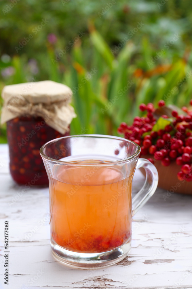 Cup of tea, jam and ripe viburnum berries on white wooden table outdoors Cup of tea, jam and ripe viburnum berries on white wooden table outdoors