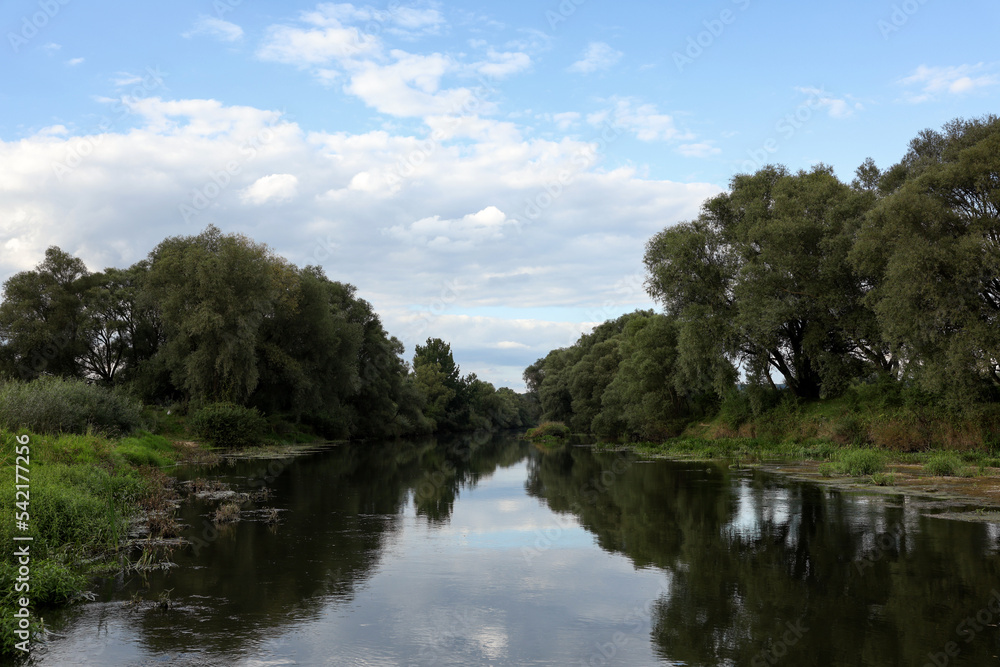 Picturesque view of clean river and trees in countryside Picturesque view of clean river and trees in countryside