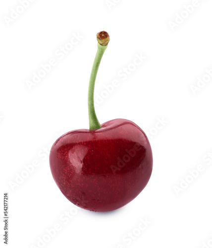 One ripe sweet cherry isolated on white