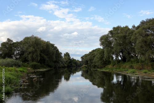 Picturesque view of clean river and trees in countryside