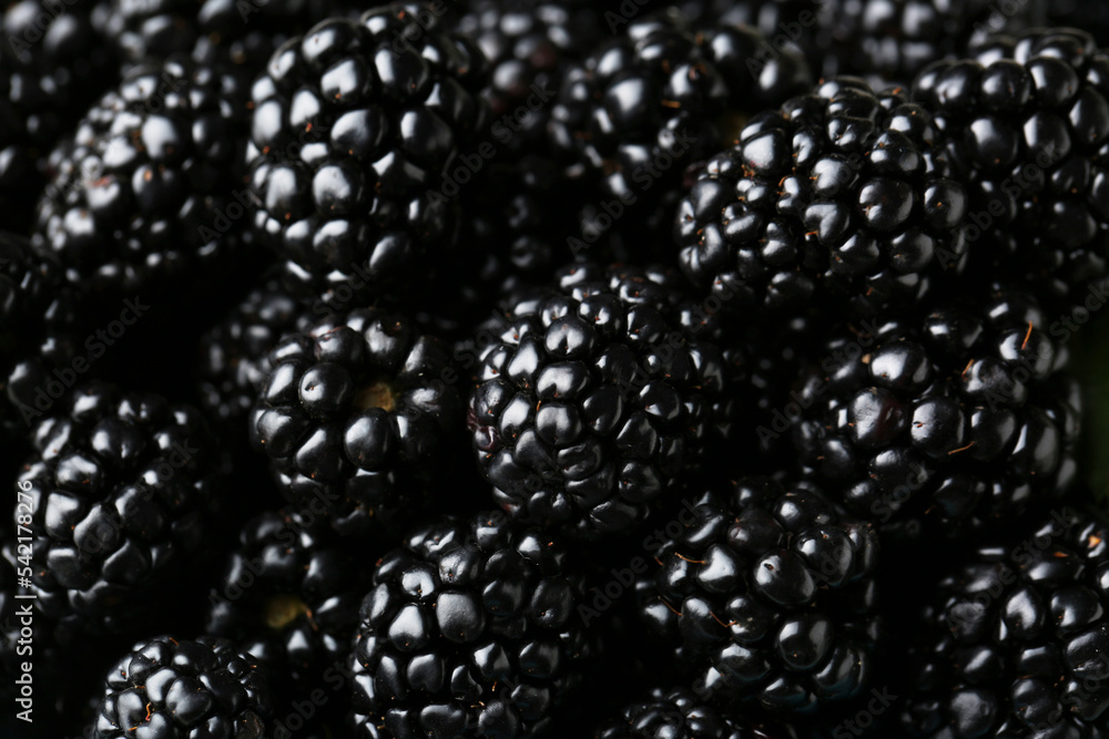 Pile of tasty ripe blackberries as background, closeup Pile of tasty ripe blackberries as background, closeup