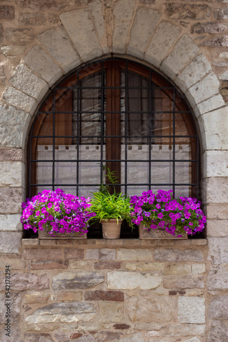 Umbria - La finestra fiorita photo
