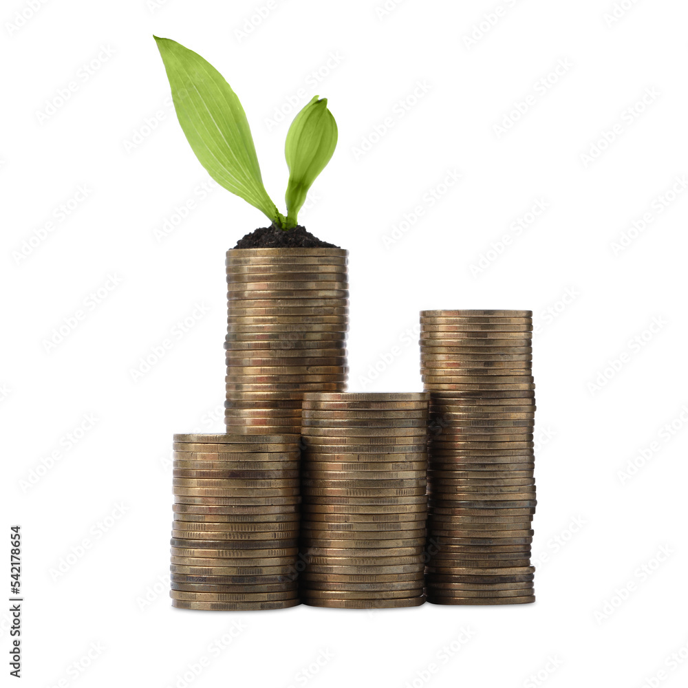 Stacks of coins and green plant on white background. Investment concept Stacks of coins and green plant on white background. Investment concept