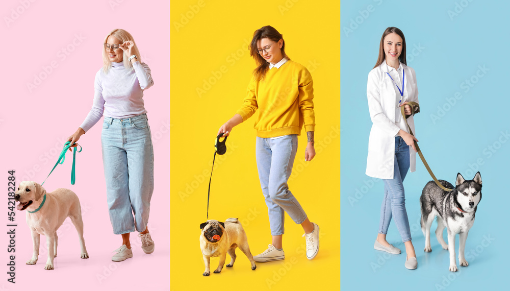 Collage of women with cute dogs on color background
