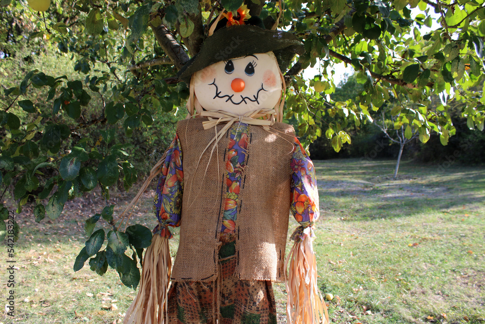 Décor d'automne, épouvantail dans l'arbre avec feuilles mortes Décor d'automne, épouvantail dans l'arbre avec feuilles mortes