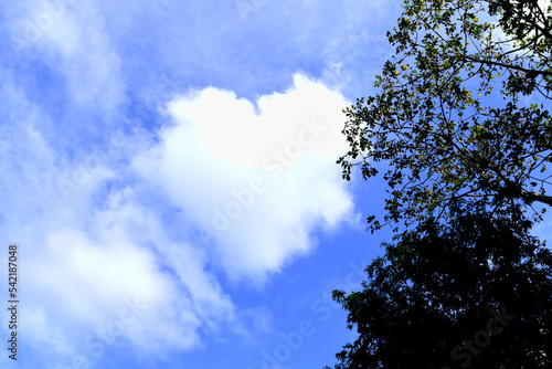 The heart shape cloud create by nature on the blue sky