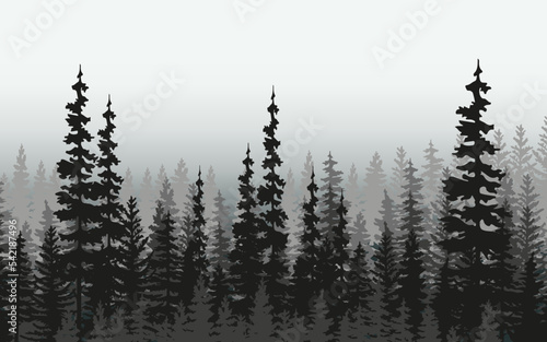 Spruce treeline silhouette landscape. Pine tree silhouette landscape