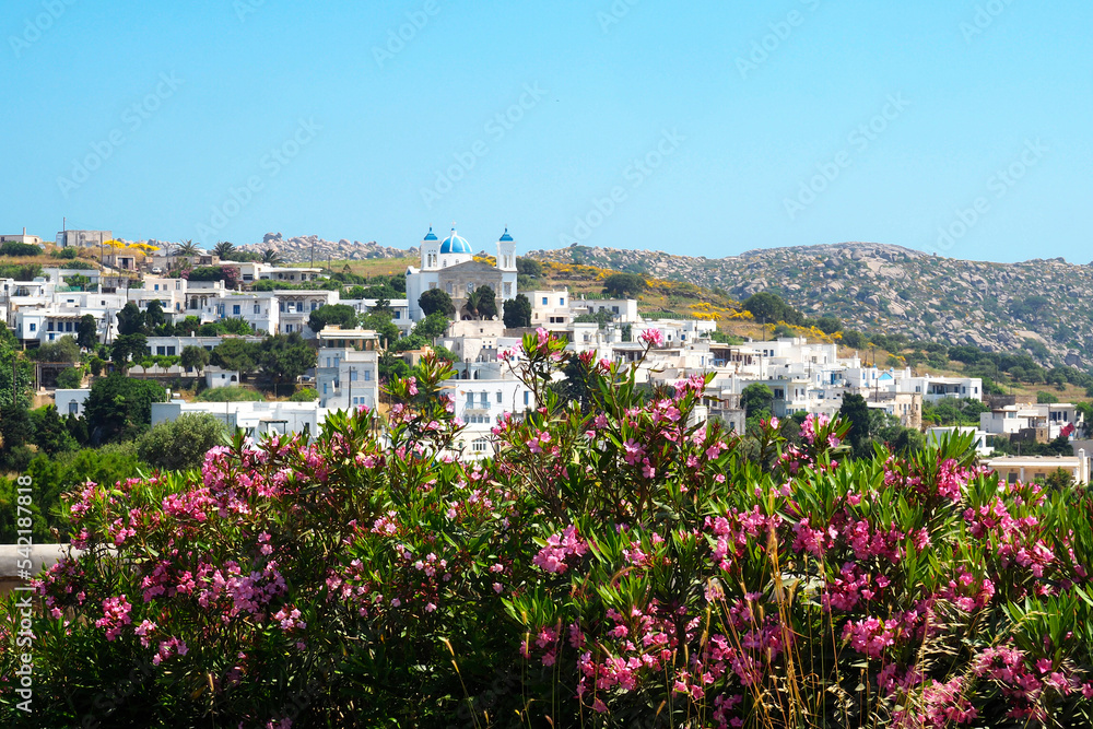 Obraz premium Falatados, dominated by its Cathedral Saint John/Holy Trinity, is a traditional mountain village of Tinos, famous island of the Cyclades, in the heart of the Aegean Sea.