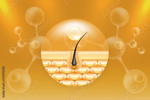 Hyaluronic acid hair and skin solutions ad, gold collagen serum drop into skin cells with cosmetic advertising background ready to use, illustration vector.