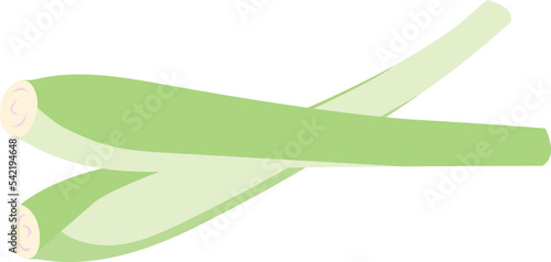 Lemon Grass isolated Illustration Hand Drawn