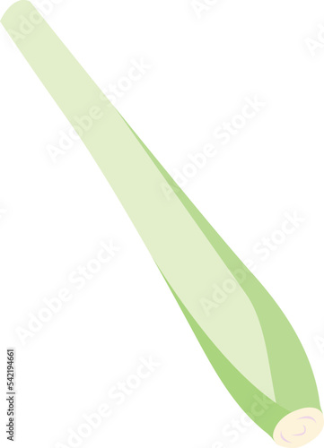 Lemon Grass isolated Illustration Hand Drawn