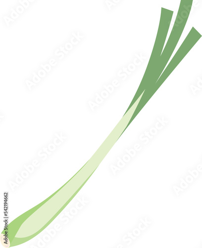 Lemon Grass isolated Illustration Hand Drawn