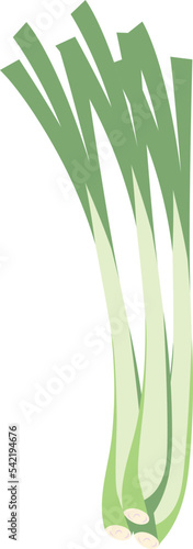 Lemon Grass isolated Illustration Hand Drawn