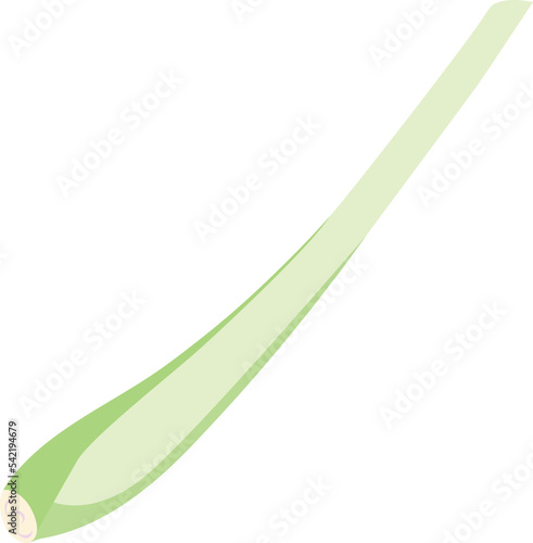 Lemon Grass isolated Illustration Hand Drawn