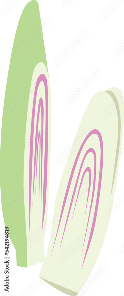 Lemon Grass isolated Illustration Hand Drawn Lemon Grass isolated Illustration Hand Drawn