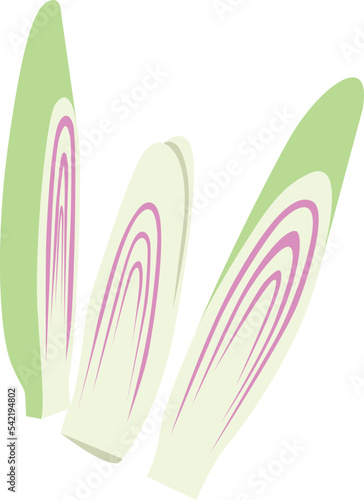 Lemon Grass isolated Illustration Hand Drawn