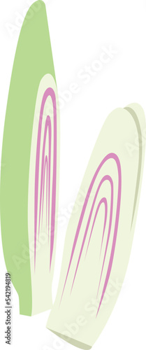 Lemon Grass isolated Illustration Hand Drawn