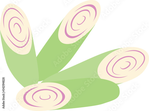 Lemon Grass isolated Illustration Hand Drawn