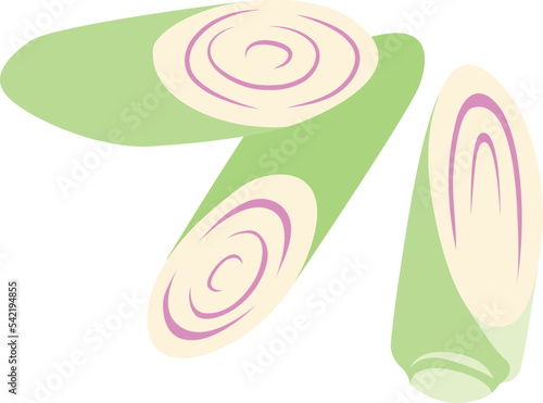 Lemon Grass isolated Illustration Hand Drawn