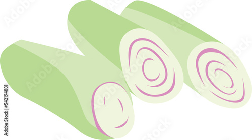 Lemon Grass isolated Illustration Hand Drawn