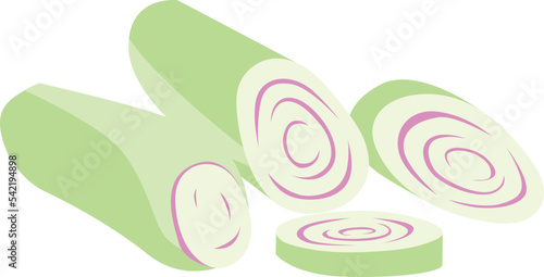 Lemon Grass isolated Illustration Hand Drawn