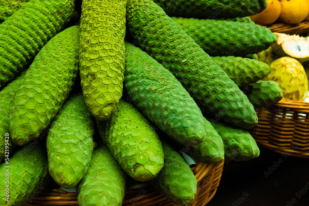 Monstera deliciosa fruit Portugal Madeira Market Monstera deliciosa fruit Portugal Madeira Market