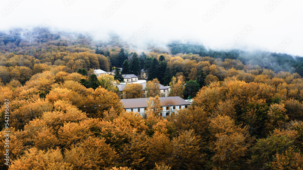 House surrounded by trees with autumn colors