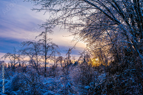 A Beautiful, Caledon Sunset Through the Crystalline Remnants of a January Ice Storm photo