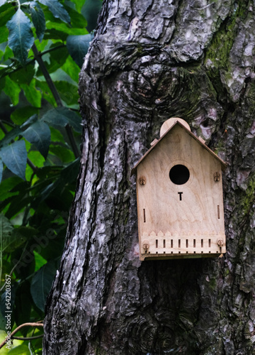 Bird house on a tree. Wooden birdhouse, birdhouse for songbirds in the park, close-up.