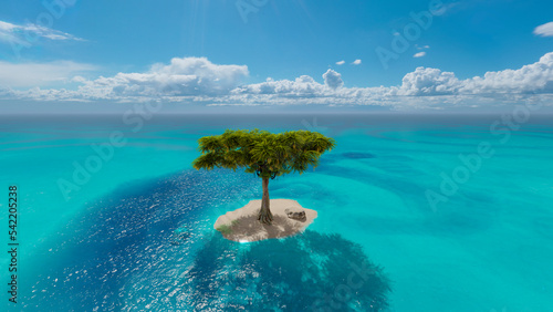 A tree with a wide crown on a sandy island in the ocean