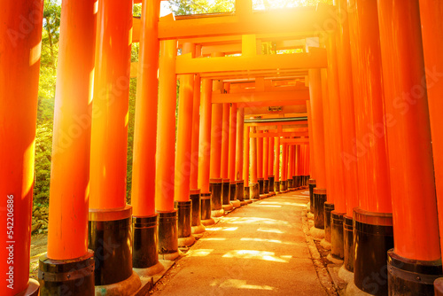 Photography Thousands of vermilion torii gates of famous landmark Fushimi Inari taisha, south of Kyoto, Japan