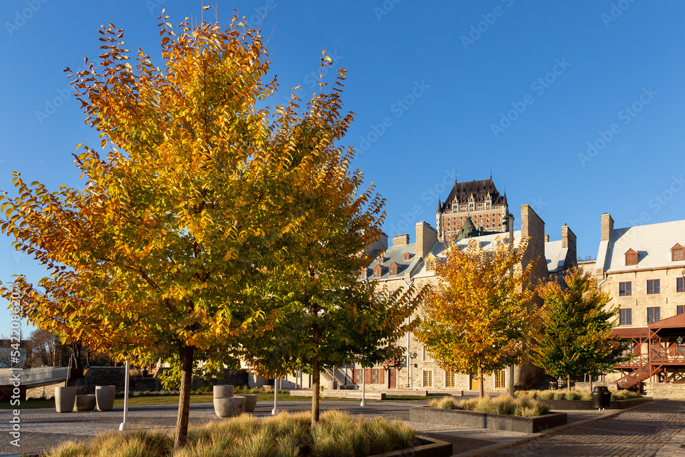 Historic buildings on Place de Paris in the Petit-Champlain sector seen during a golden hour morning with trees in fall foliage in the foreground, Quebec City, Quebec, Canada
