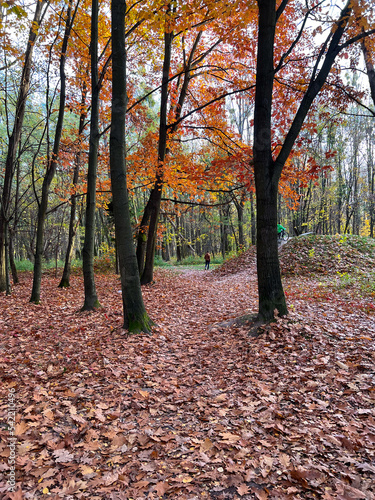 Autumn season in the city park. Perfect autumn colors on the trees.