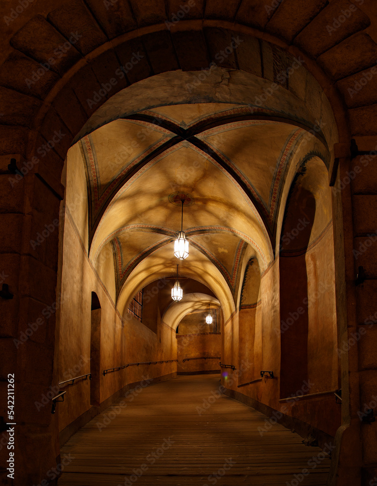 Obraz premium night view to Cesky Krumlov castle - Czech republic